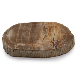 Porte-Savon en Bois Pétrifié Brun